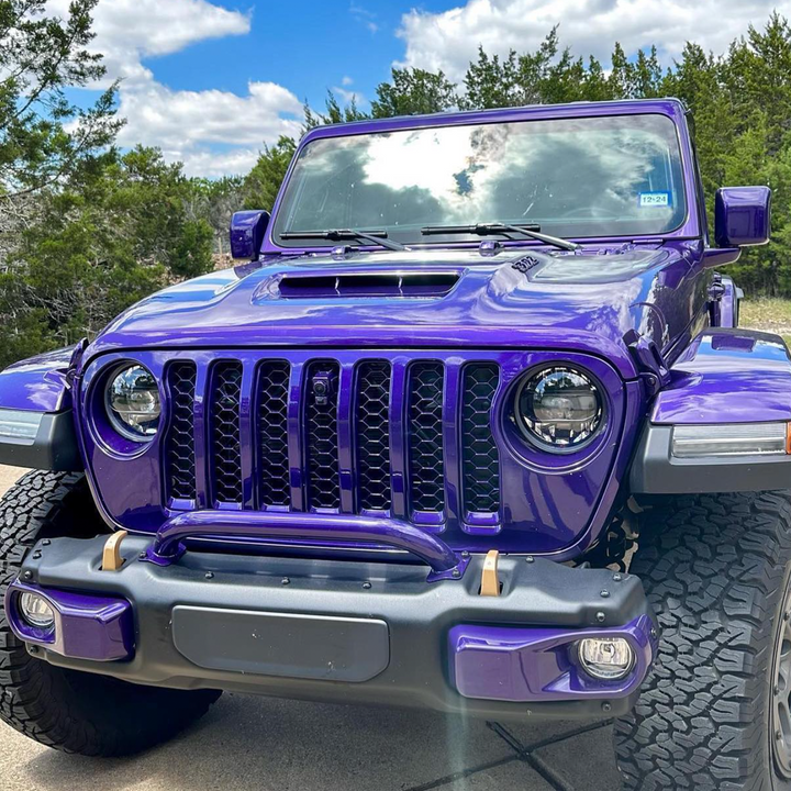 Reign Purple OEM Full Color Match Classic Grille Panel, Trim and Mesh